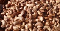 High Quality Nigerian Cashew Nut