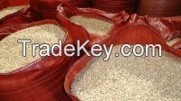 https://fr.tradekey.com/product_view/White-Corn-7841383.html