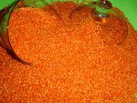  Green, Red and brown Lentils yellow lentils grade A for sale 