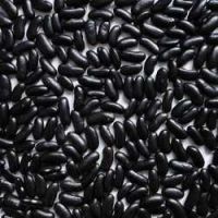 https://fr.tradekey.com/product_view/100-Black-Red-And-White-Kidney-Beans-For-Sale-8988675.html