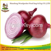 fresh onion prices in india
