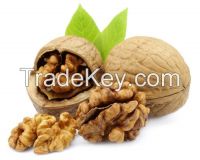 organic walnut kernal