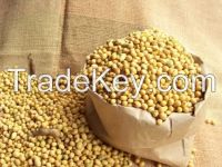 2014 new crop soybeans