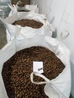 https://www.tradekey.com/product_view/Argentinian-Pecan-Nuts-9087853.html