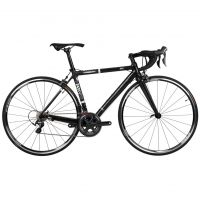 Sports Cycle - TRIGON DARKNESS 4 ULTEGRA (Mavic Cosmic Elite S)