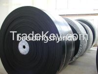 Nylon Conveyor belt manufacturer