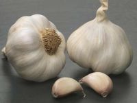 garlic