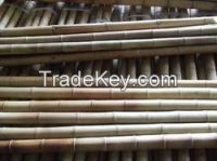 Bamboo pole