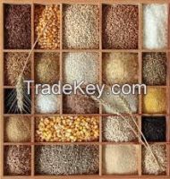 Grains