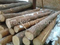 Round timber pine 