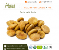 Roasted Sacha Inchi nuts (PREMIUM QUALITY)