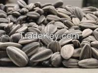 Round Shape , Sunflower Seeds 5009