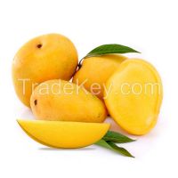 Alphonso Mango 