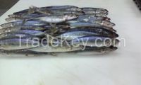 Round Scad Mackerel/ Muroaji