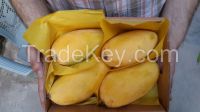 fresh  mangos