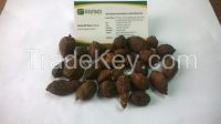 Vietnam Trusted Exporter of Black Cardamom HIGH QUALITY (Viber/Whatsaap:+84965152844)