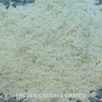 Frozen Cassava - Manioc