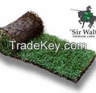 synthetic grass Campbellfield