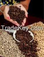 Arabic coffee beans