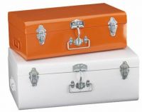 Galvanized Iron Storage Trunk