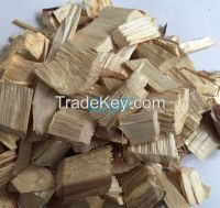 Acacia Wood chips