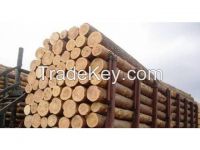 Birch, oak, pine logs and products