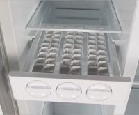 refrigerators mold