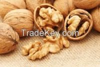 high quality raw walnuts with shell/without shell