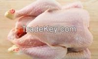 HALAL Frozen Whole processed Chicken