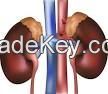 Do want to donate your kidney or buy with high compesation