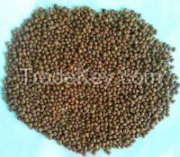 Pigeon peas / Toor whole