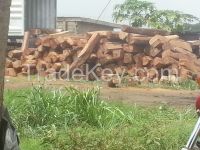 Kosso Wood Logs