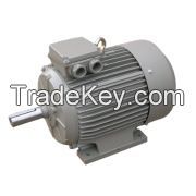 Low-Noise Three Phase Motor (SG series)