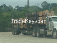 Sell-Red Oak and White Oak Logs