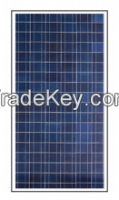 Solar Module Victron Poly SPP 100Wp 12V 