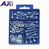 Hot Selling 66PCS Assorted Screws, Nuts & Washer Kit Made in China