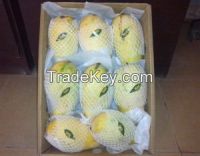 Fresh Sindhri Mangoes