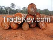 Supply of African Hard wood