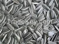 Candy Grade Sunflower Seed Kernles for Human