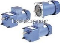 180 Watt Induction Motor