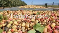 https://www.tradekey.com/product_view/Fresh-raw-dried-roasted-Pistachio-Nuts-7924541.html