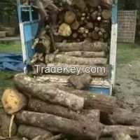 https://www.tradekey.com/product_view/Agarwood-amp-amp-amp-amp-1st-Distil-Oil-From-Assam-Forest-india--7926205.html