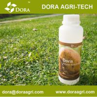 DORA Enhancer Bio