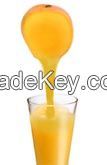 Mango Juice Concentrate