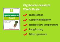 Glyphosate Ammonium Salt 59.5%+Dicamba 10.5% SG