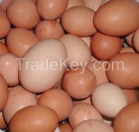  Fresh Table Chicken Eggs ( Brown and White) 