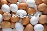 High Fresh Table Eggs Brown And White