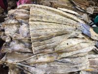 Cooked, preserved Fish in Maldives