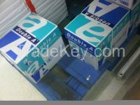 A4 Copy Paper,Double a A4 Paper 80GSM 70GSM