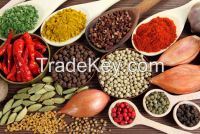 SPICES FROM INDIA, FLEXIBLE PACKAGING MATERIALS FROM INDIA FOR PACKAGING, AND BRAND DESIGN MANAGEMENT IN VERY COMPETITIVE PRICE.